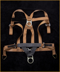 Training Harness