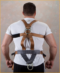 Training Harness